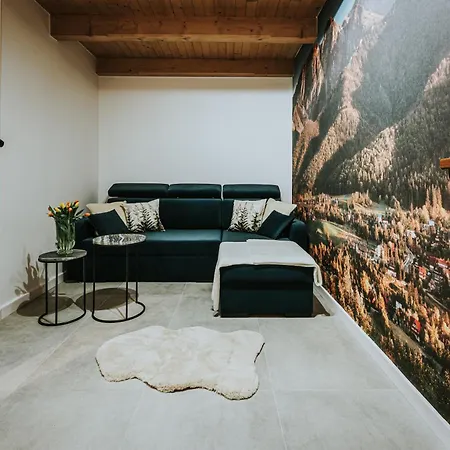 Apartment Visitzakopane Forest *
